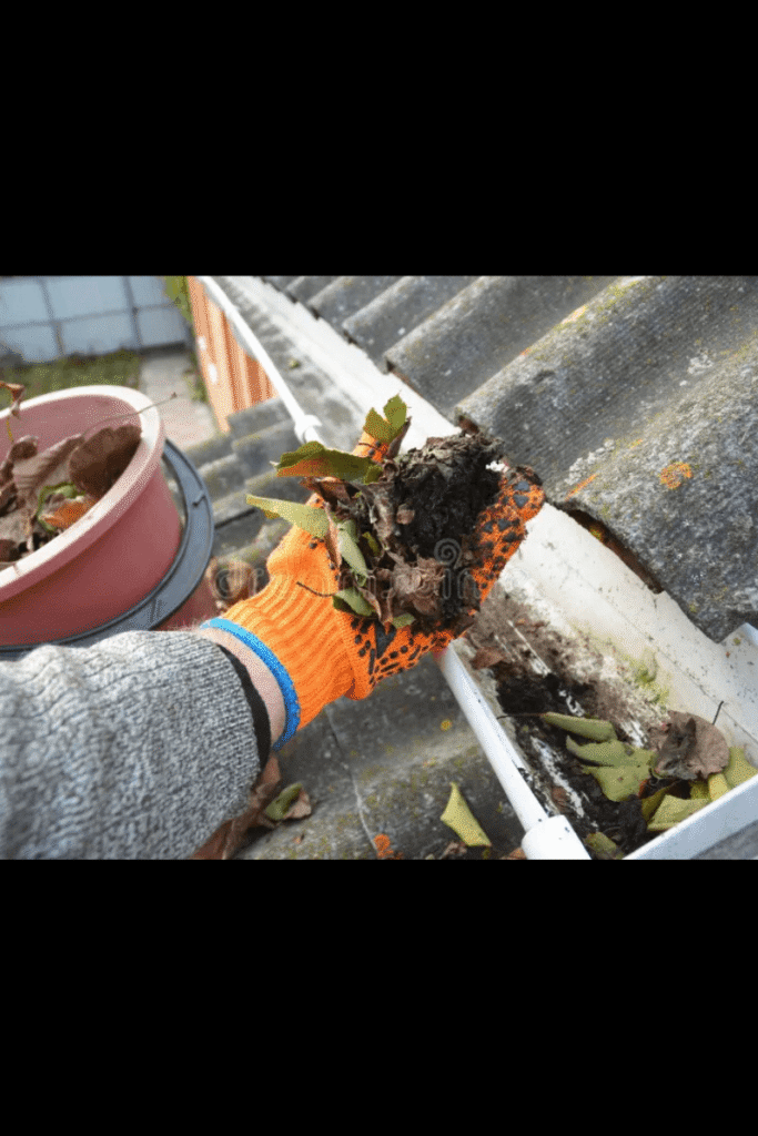 tiny_site_home_gutter cleaning_bluerock (2)